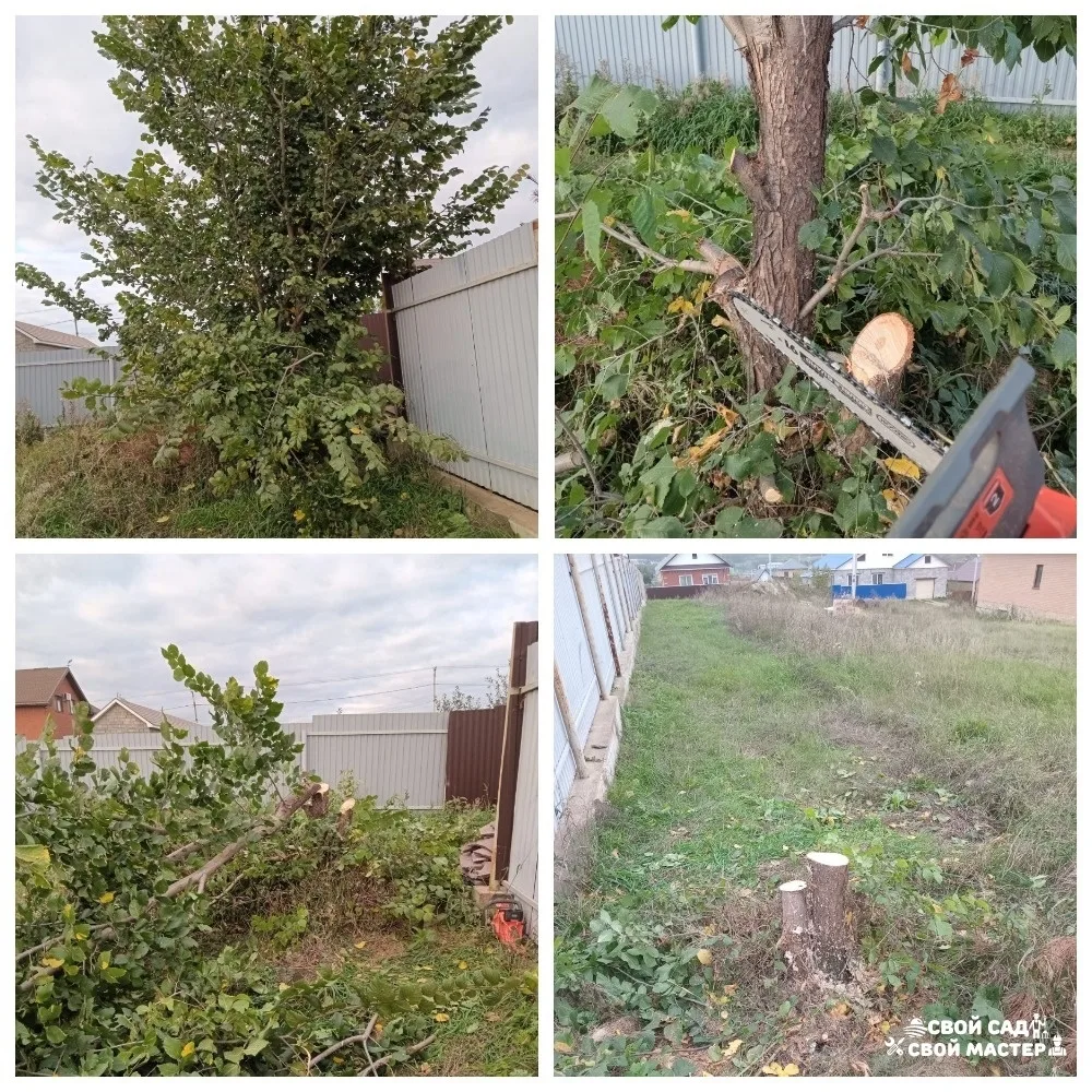 📎Наши работы*📎