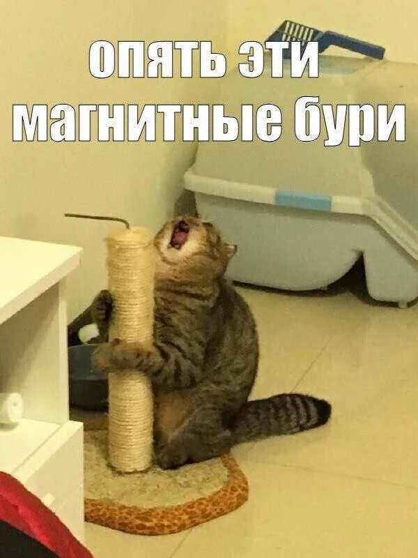 🌪️ Землю накрыла первая магнитная буря этой осени.