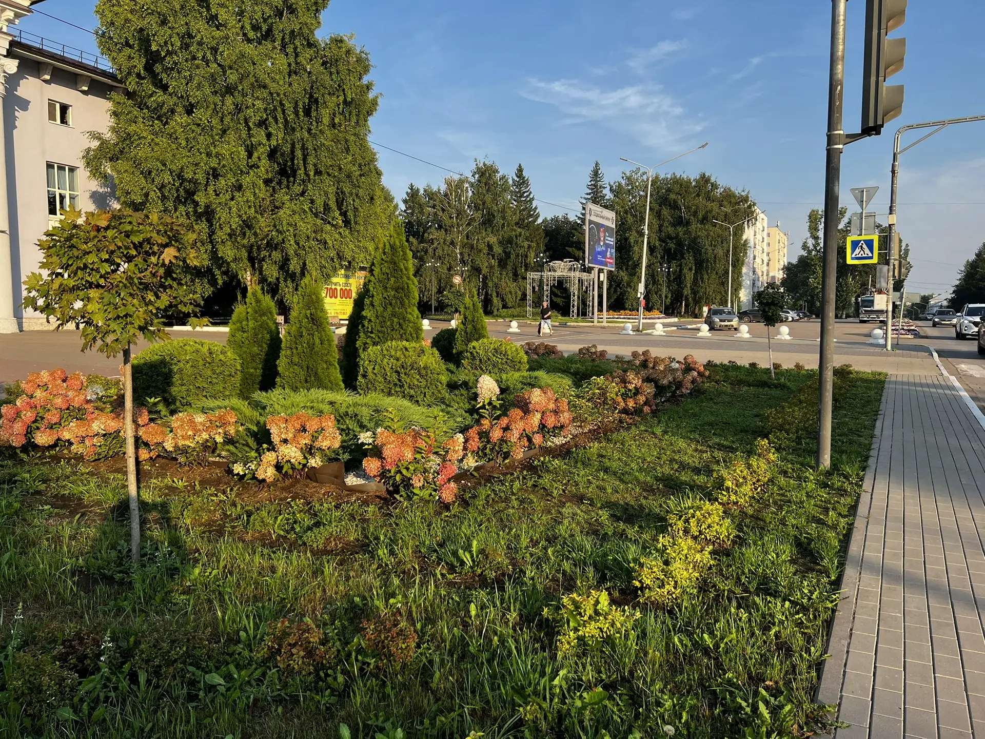 Доброе солнечное утро, друзья ☀️
