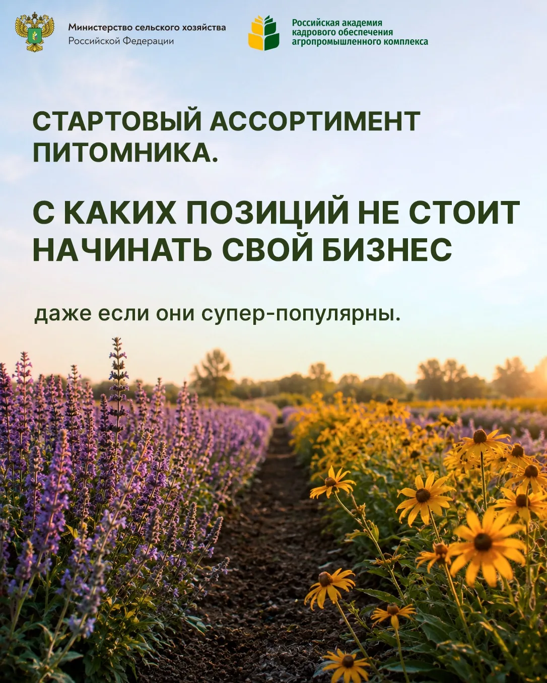 Часто от начинающих питомниководов можно услышать: «Хочу посадить всего понемногу и дал...