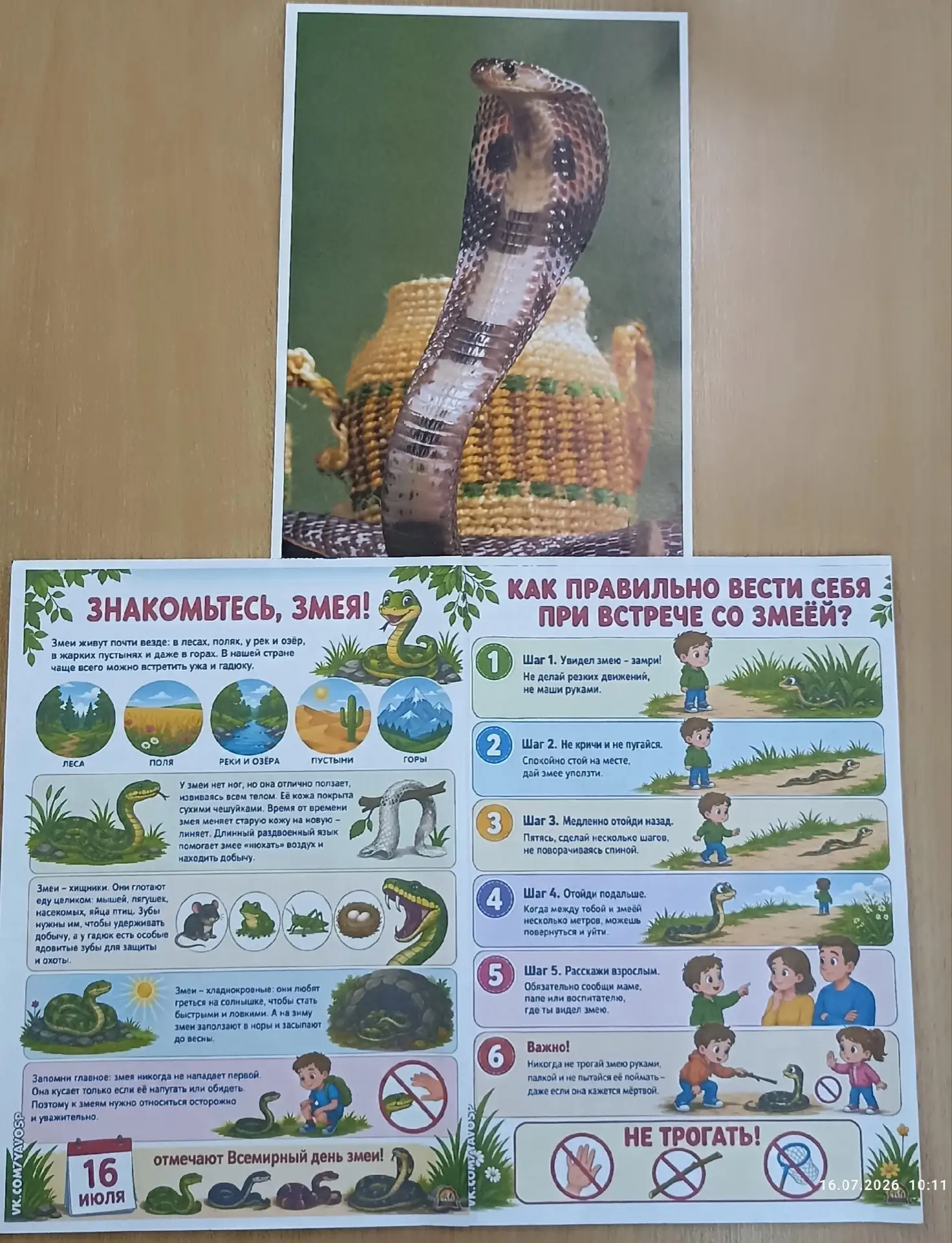 Они могут казаться нам страшными и опасными... но у них есть целый день в году, утвержденный учеными