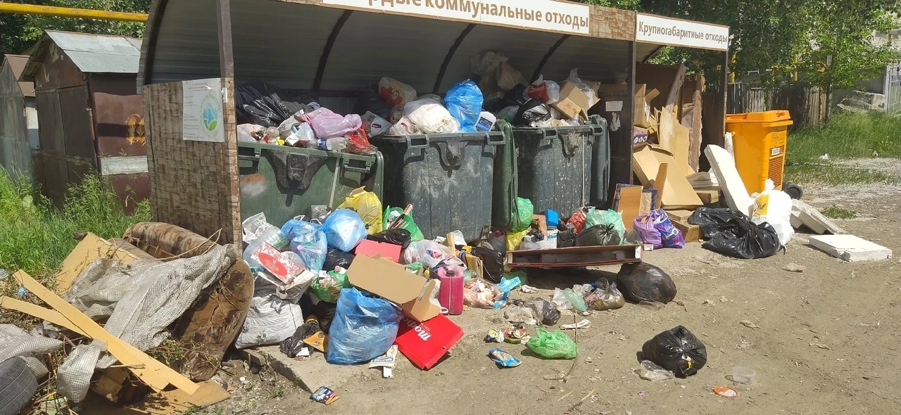 За номер авто – вознаграждение от Главы 

За фото и видеофиксацию факта свалки мусора на контейнерны