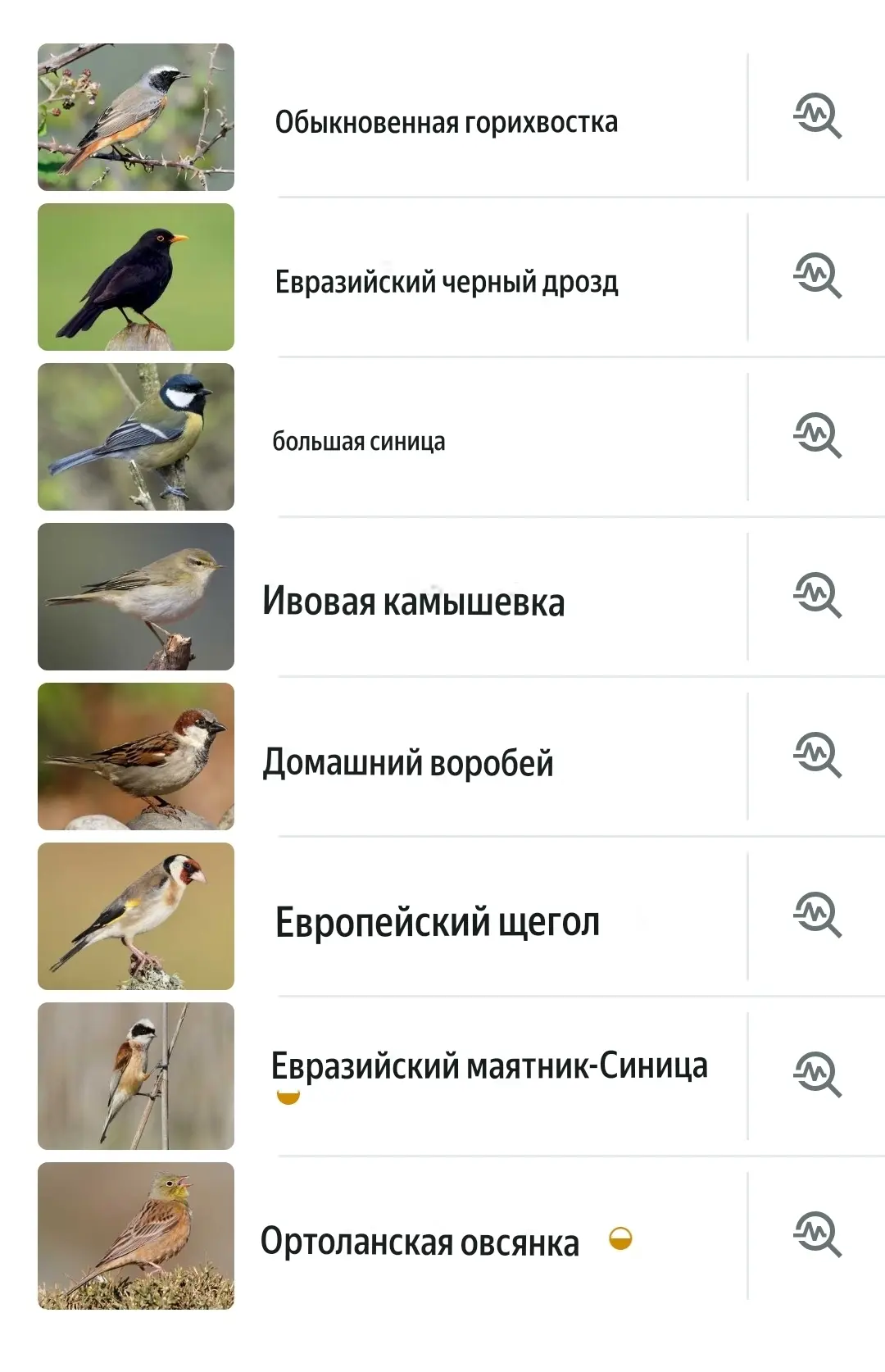 Друзья, насколько прекрасен и удивителен наш край! Сегодня пока гуляла с утра с 🐕‍🦺 з...