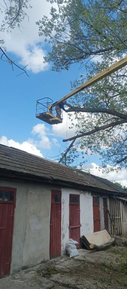 🌳 Работники МБУ Центр "Благоустройства" проводят мероприятия по кронированию и спилу аварийно-опасны