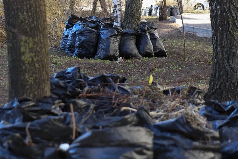 ♻️ В Тамбове стартовал осенний месячник благоустройства