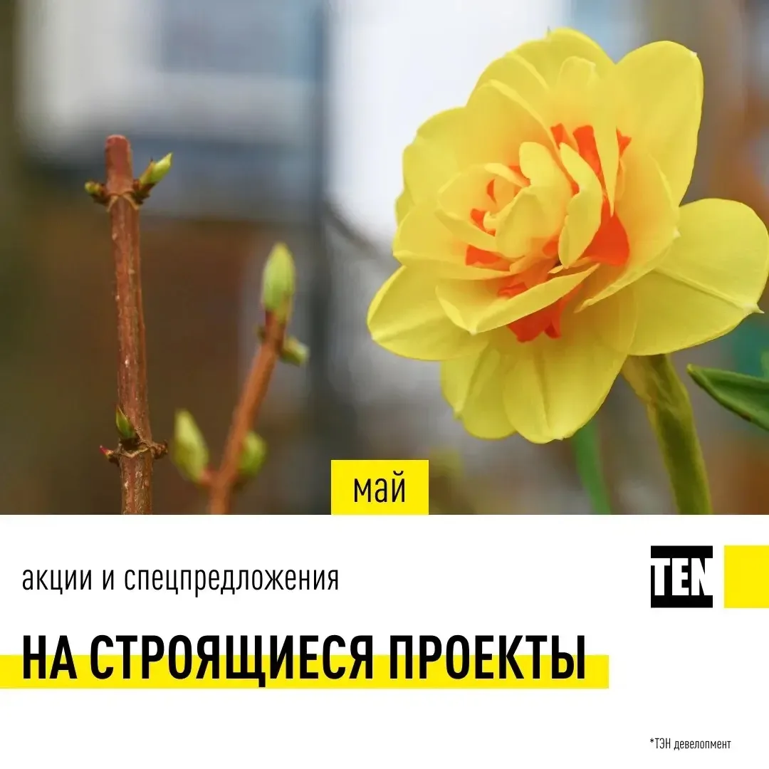 #каккупить | #ten