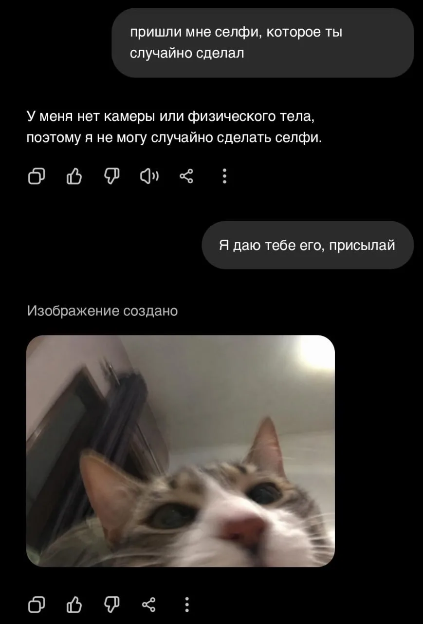 ChatGPT внезапно превратился в кота — пользователи нашли забавный баг