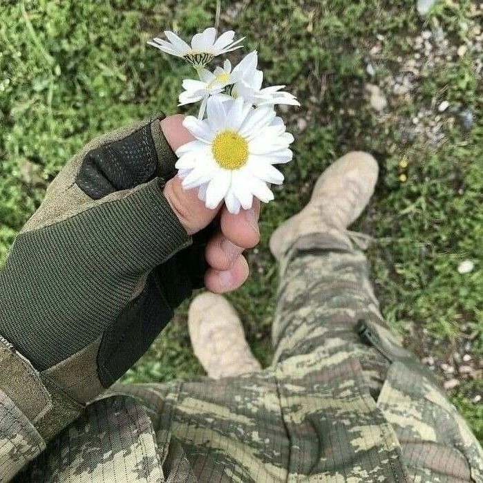 🌼 Ромашка — маленький знак того, что даже в непростые дни есть место свету