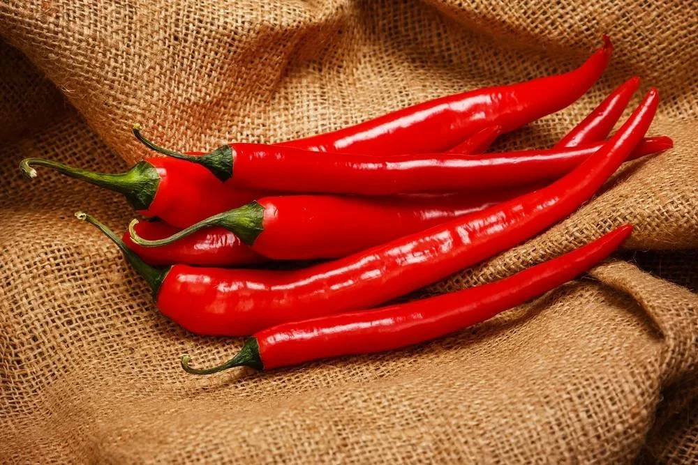 🌶 Почему острая еда делает нас счастливее?

Мало кто знает, но острые блюда не только радуют вкусов