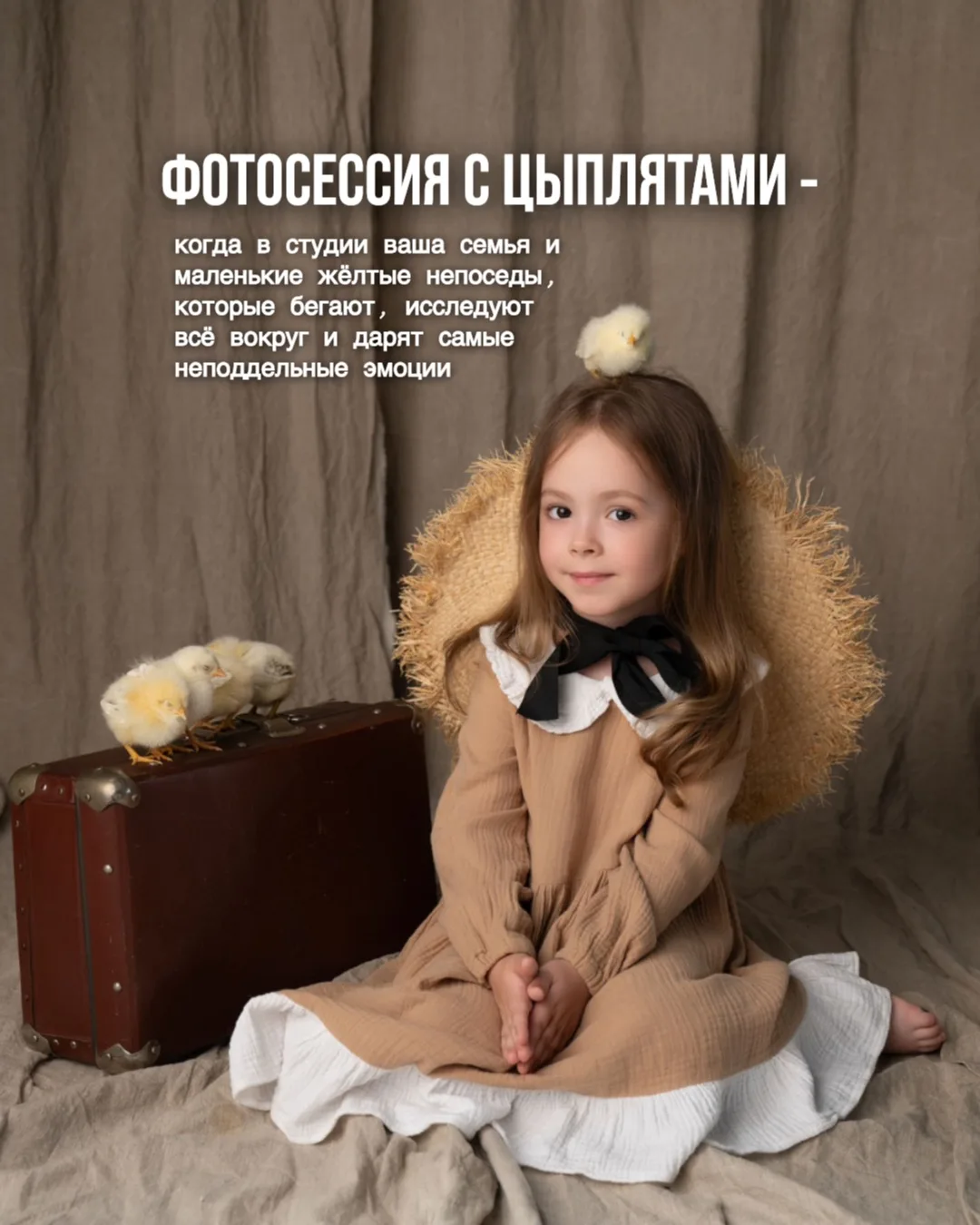 🔥Направили родителям эти готовые фото с фотодня с цыплятами в июне🔥 

Когда следующий? Планируем в