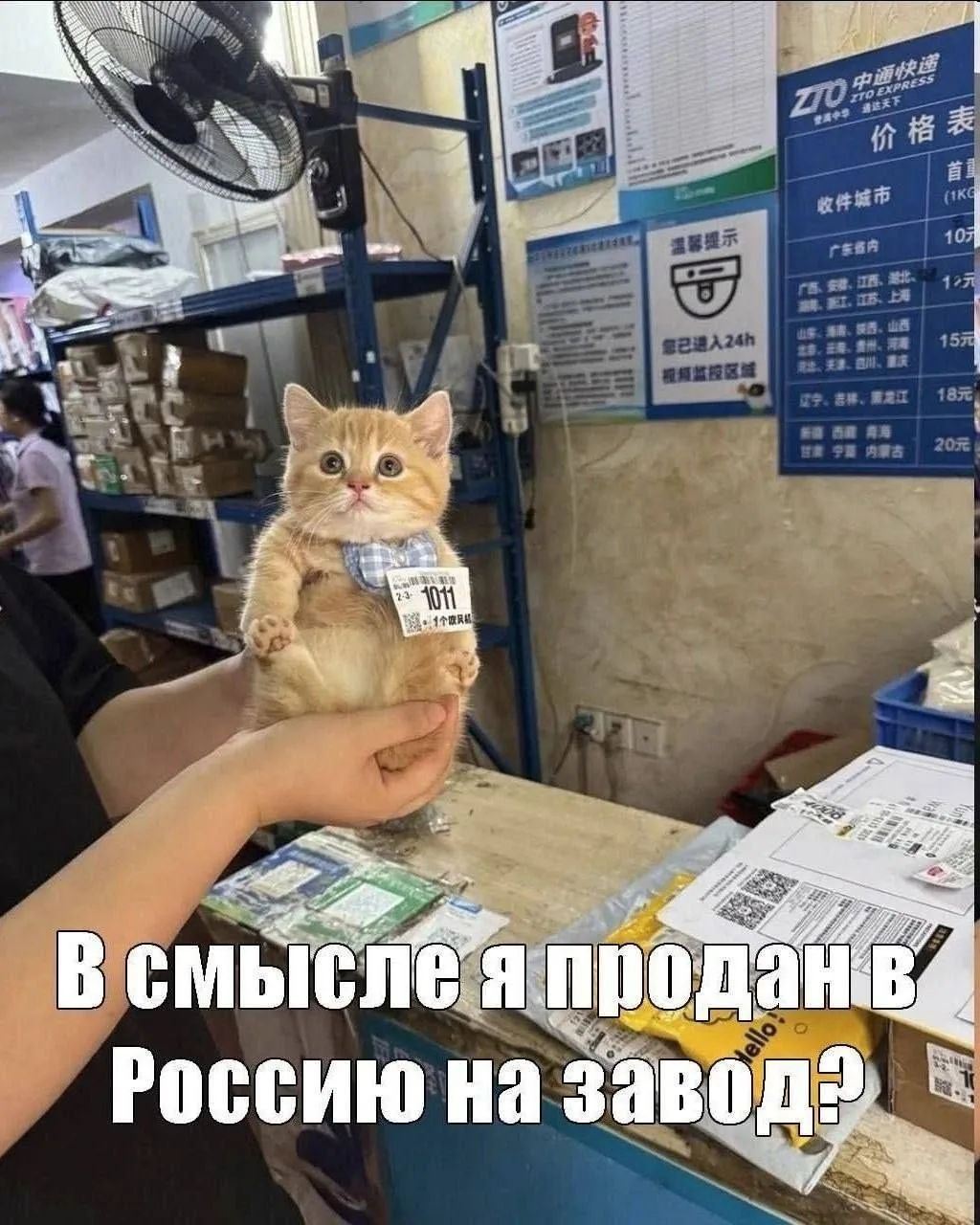 Без лайка, тебя тоже на завод отправят