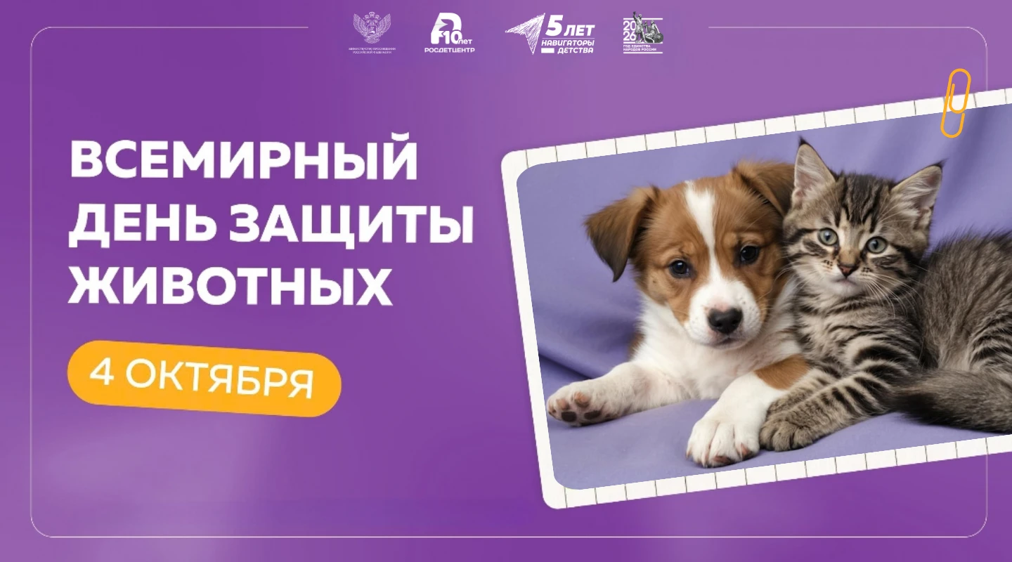 4 октября, начиная с 2000 года, в России отмечается Всемирный день защиты животных 🐕