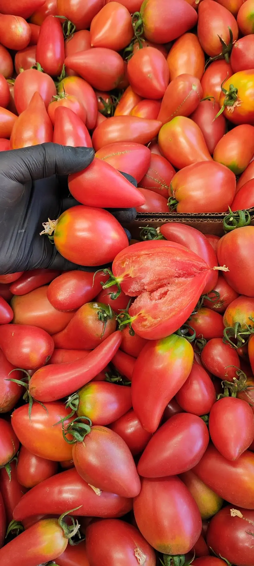🍅Сладкие помидоры сорта "Мини манго" из Астрахани и большие авокадо нового урожая из П...