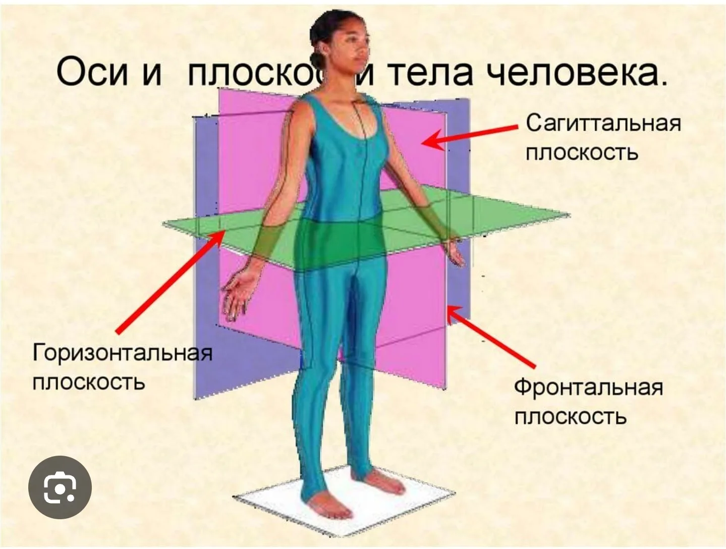 Расположение языка во рту должно быть таким:
Кончик у верхних резцов, спинка прижата к небу. 
Такое 