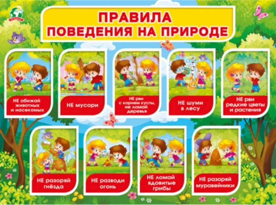 ❗️Рубрика "Минутка безопасности в период летних каникул. Поведение на природе."

Чтобы прогулка прин