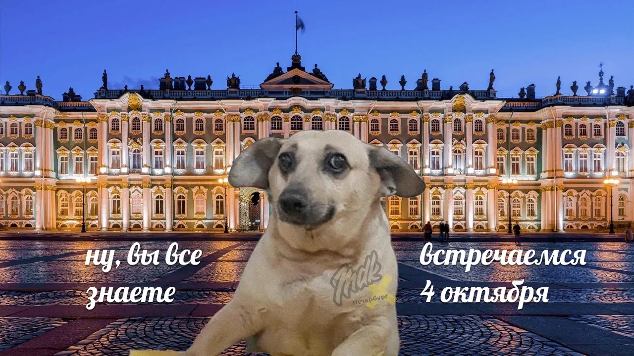 ❤️ 4 октября Эрмитаж можно посетить бесплатно