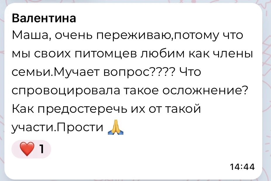 Жаль, что из всего алгоритма я не знала только лишь 1 пункт и он был жизненно важным 💔