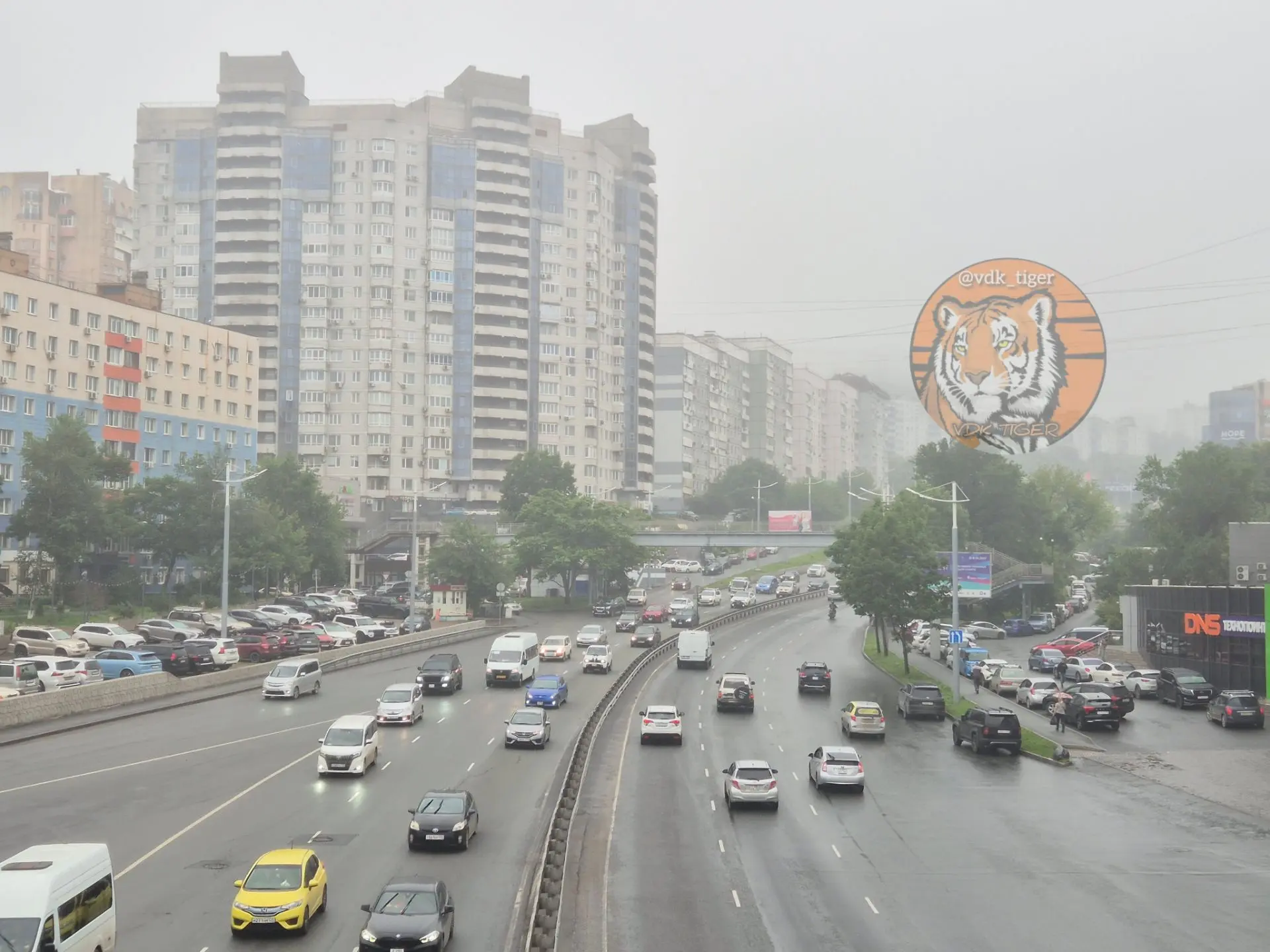 Во Владивостоке предлагают размещать начальные школы в жилых домах

Власти Владивостока предлагают и