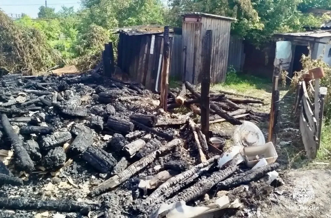 В Саратовской области за прошедшие сутки