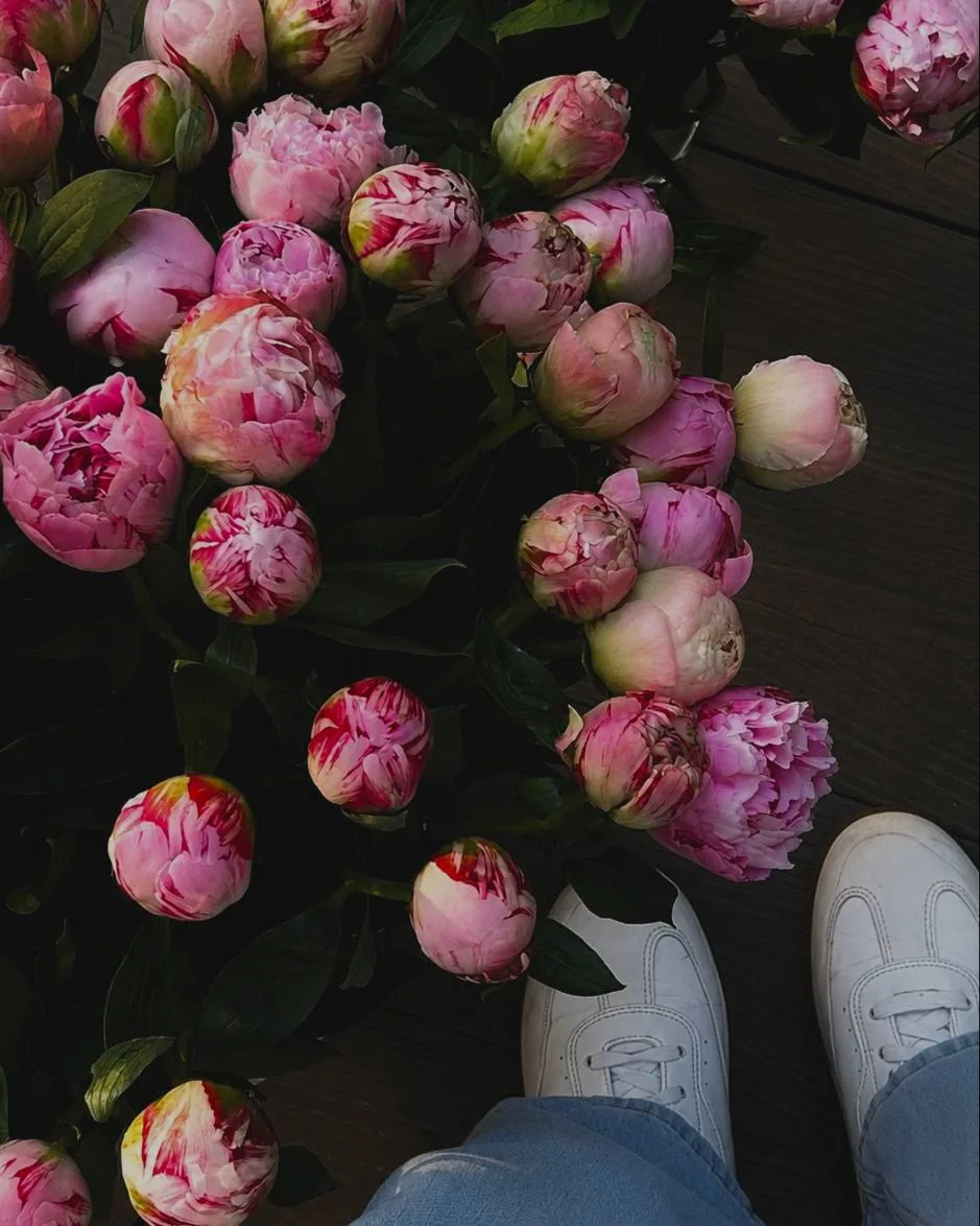 🌸 Сегодня отмечается День пионов!

Самое время порадовать близких!