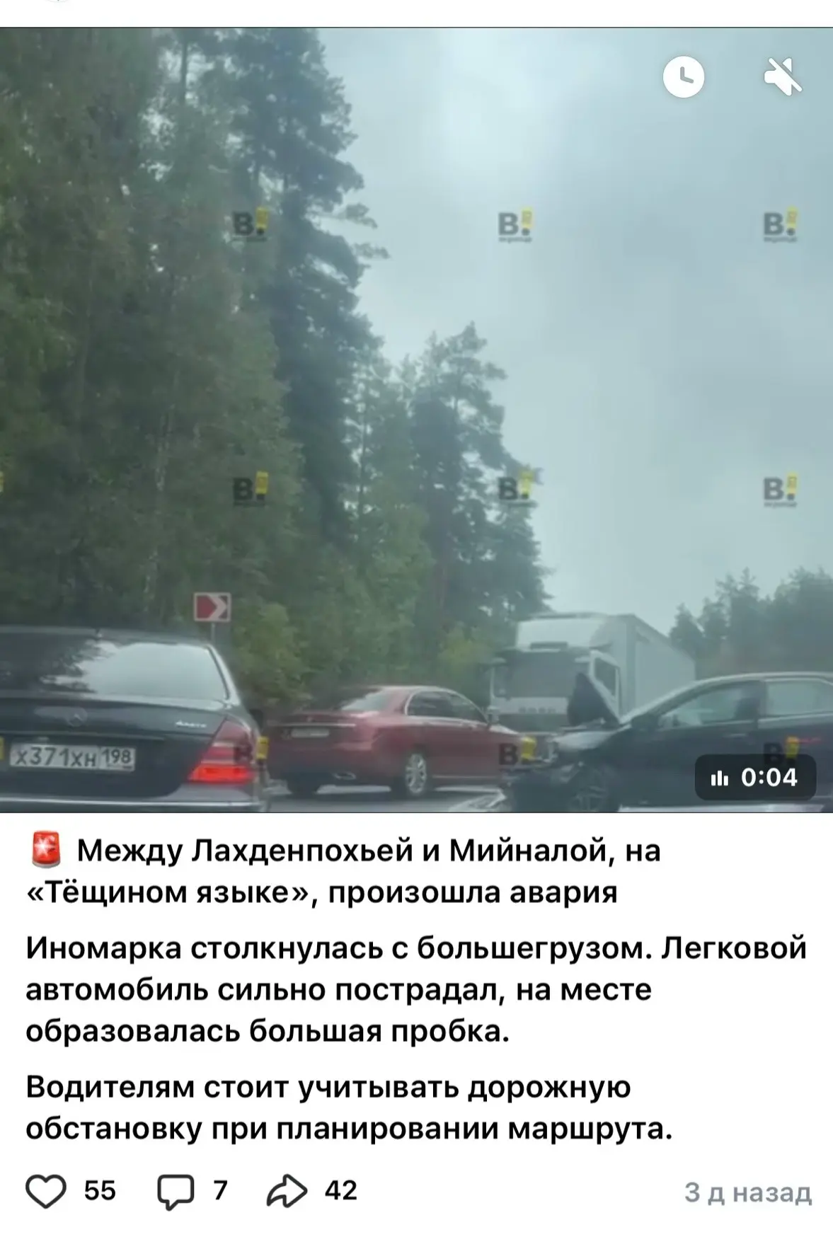 Наши соседи обозревают печальное событие на дороге. Но каким образом? Неужели все таки ...