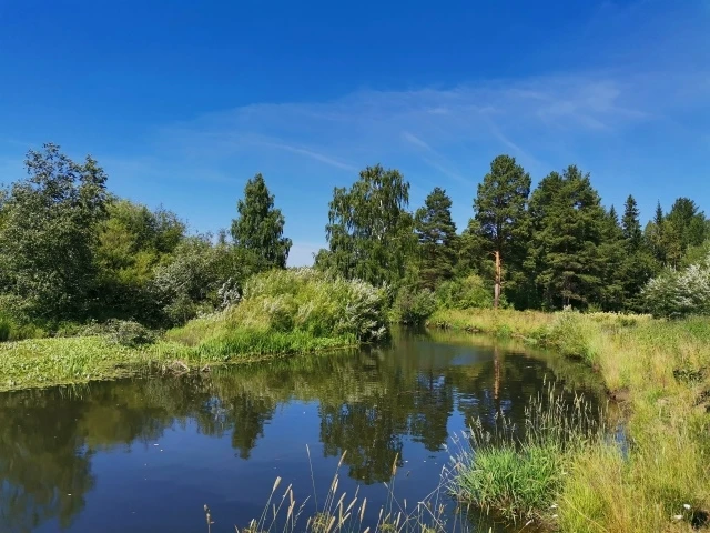 Хороша уральская природа!

Подслушано в Кушве