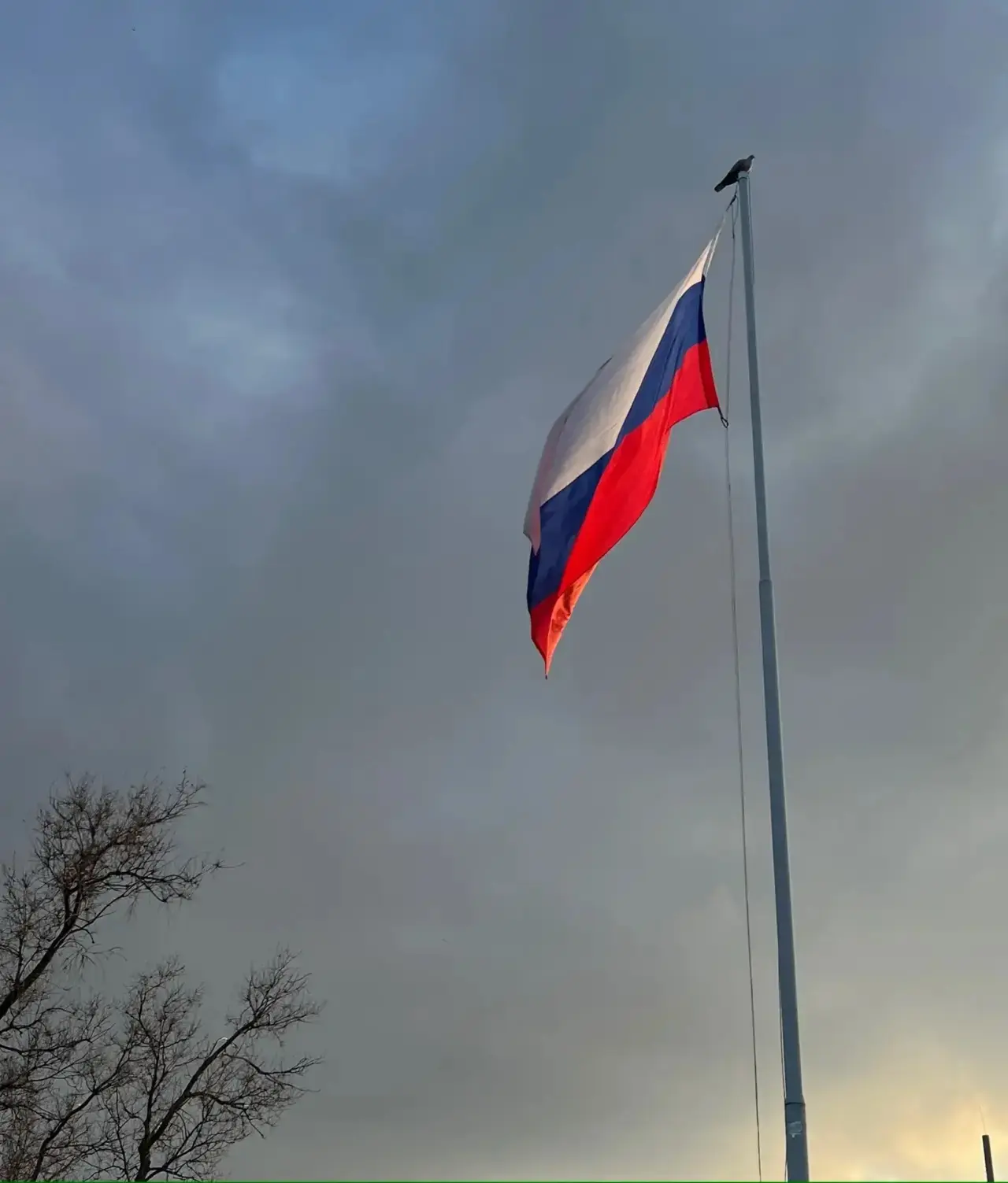С Днём флага РОССИИ! 🇷🇺🇷🇺🇷🇺