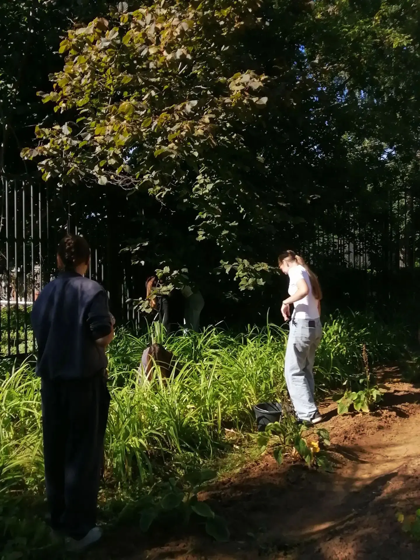 🌞На пришкольном участке продолжается четвертая смена трудового лагеря дневного пребыва...