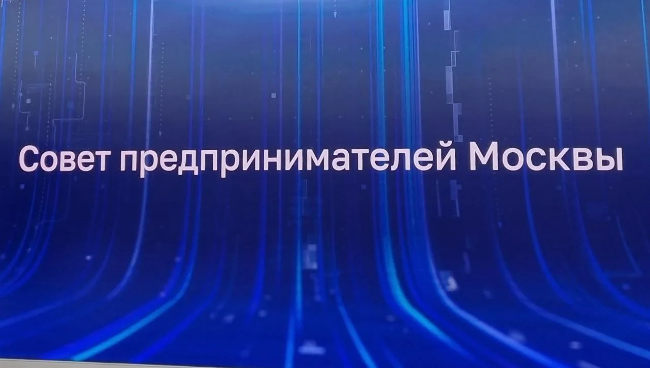 Елена Силина, Президент Национального фитнес-сообщества, приняла участие в заседании Совета предприн