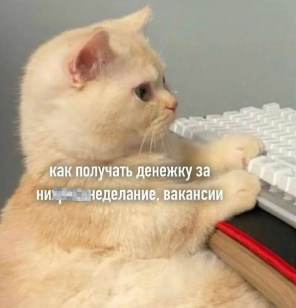 Слова «стрессоустойчивый», «многозадачный» и «коммуникабельный» призывают удалять из ре...