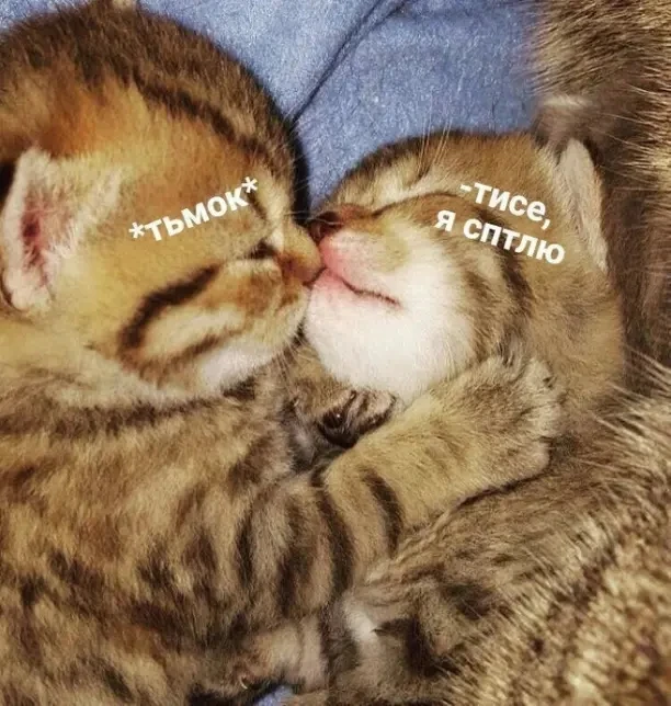 Милота, 😍