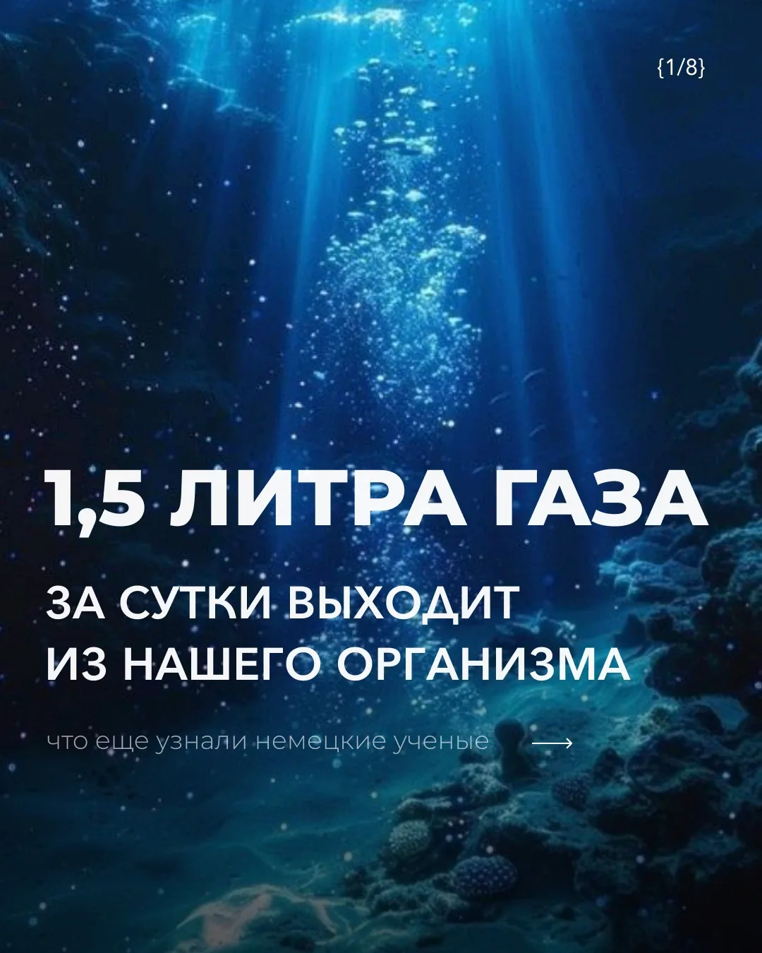 Немецкие учёные-экспериментаторы посчитали, что из человека за сутки выходит около 1,5 ...