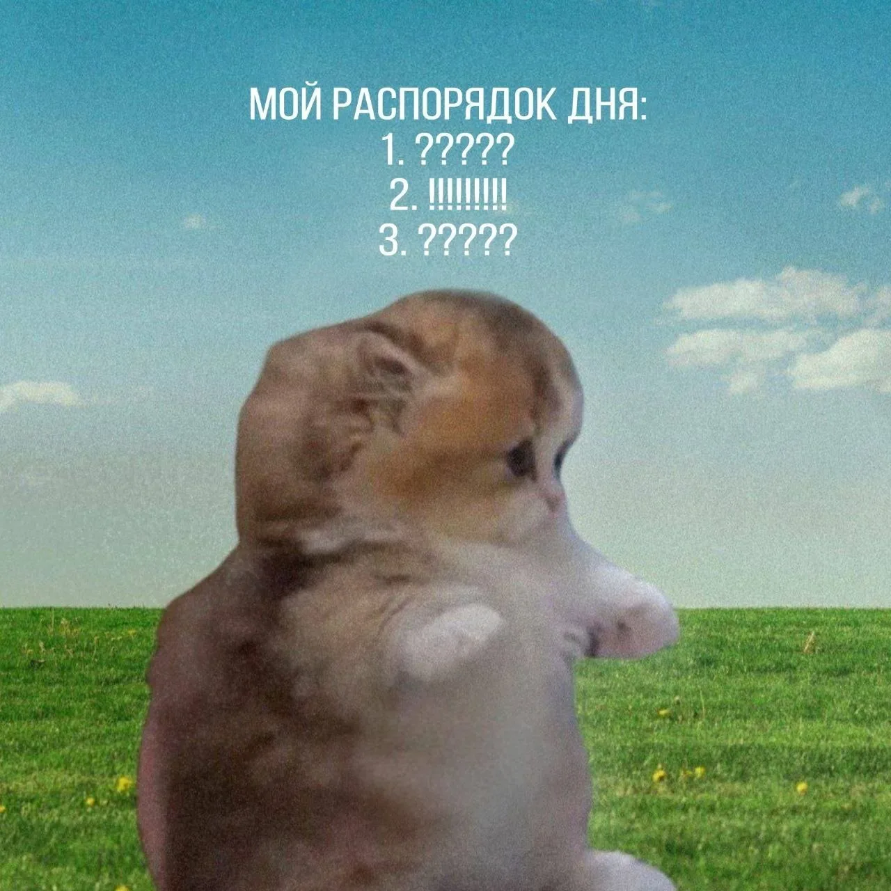 Доброе утро 🌄