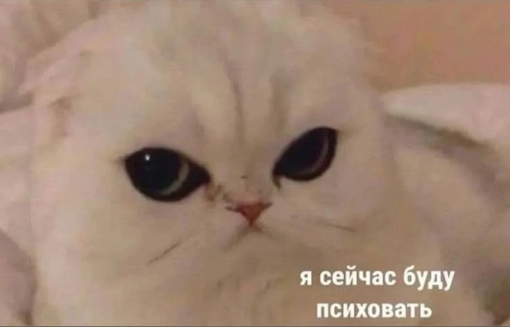 «Почему мы не злимся, хотя злимся»