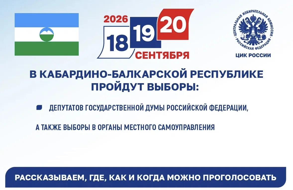 🗳 Выборы близко! Собрали всю важную информацию в удобных карточках — листайте➡️