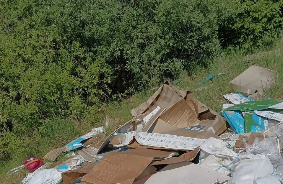 В СНТ «Дружба-2» появилась стихийная свалка  Местные жители сообщают, что на территории СНТ нет мусо