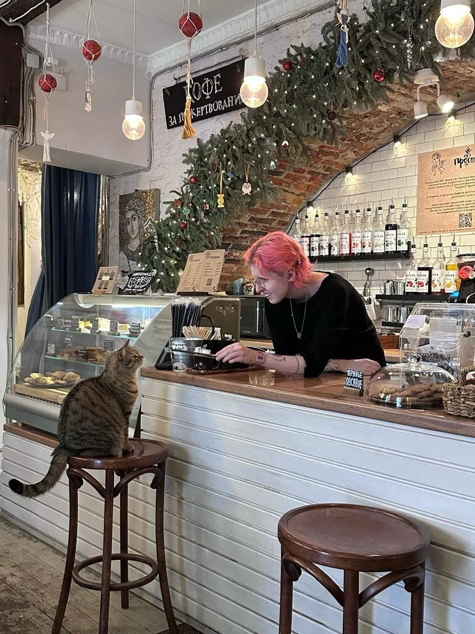 🐱 Идем в кофейню с котятами  Тут компанию посетителям составляют очаровательные кото-сотрудники — Ва