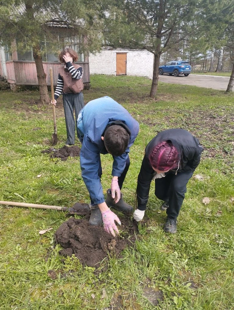 Посадка деревьев 🌳- одно из благородных дел, где не на словах, а на деле выражается любовь к Родине