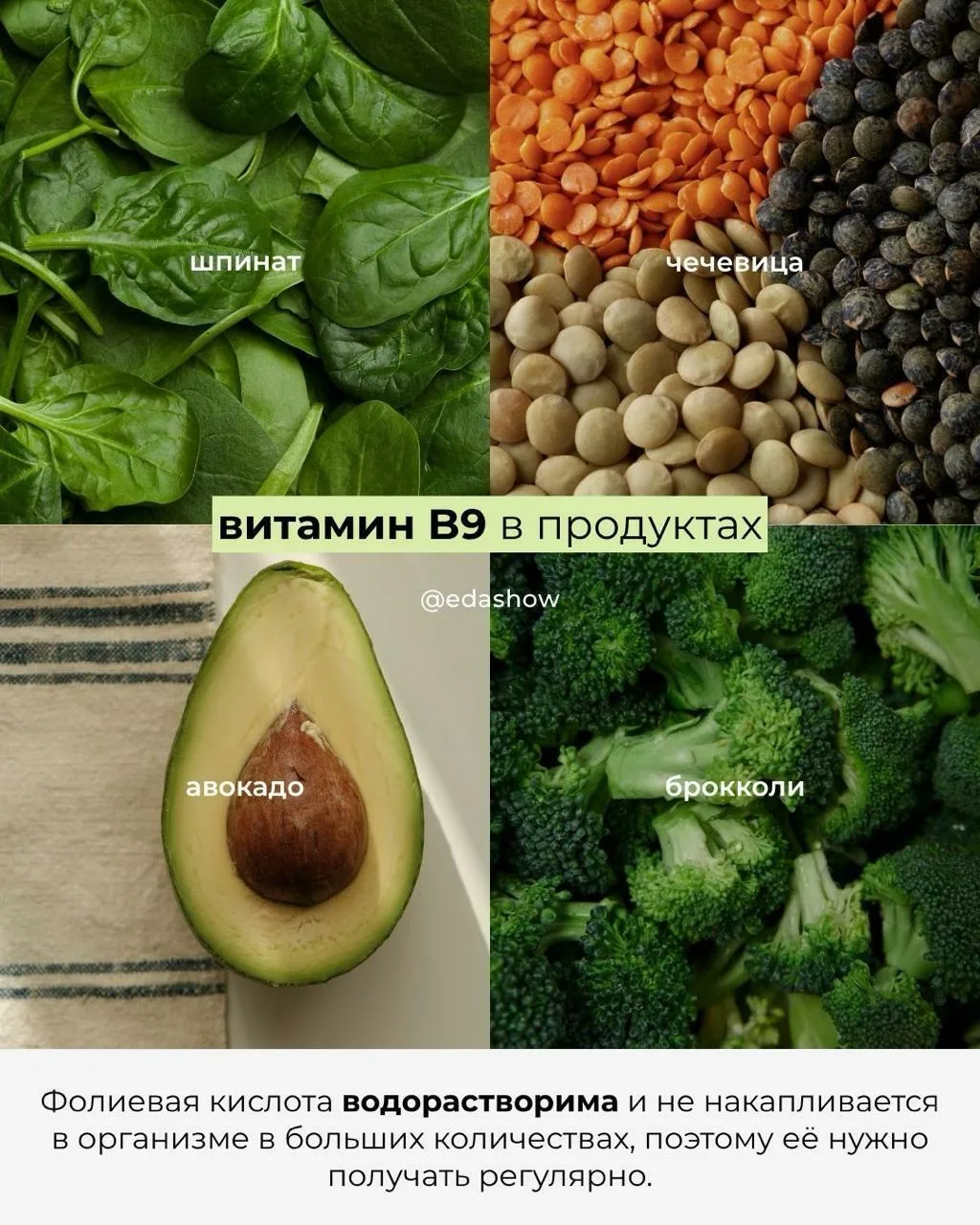 Фолиевая кислота (B9) — один из ключевых нутриентов для организма: она поддерживает кроветворение, р
