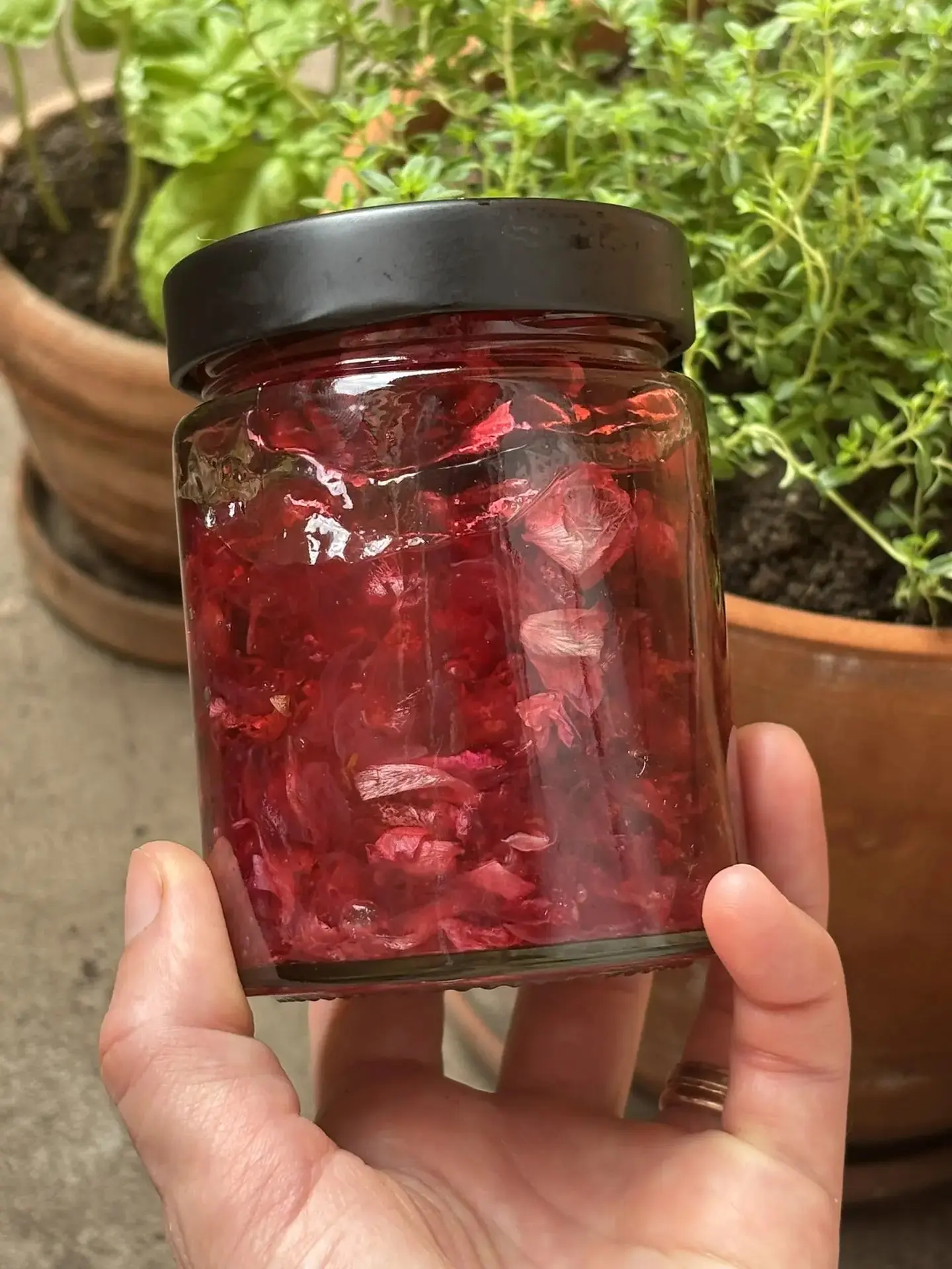 Мармелад из лепестков дамасской розы в витрине Дусечки!