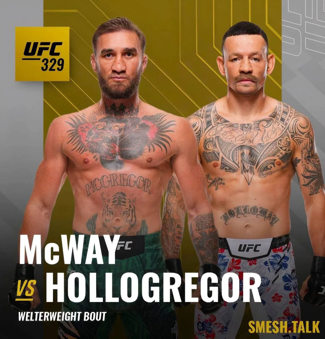 ❗️McWay vs Hollogregor! уже этой ночью