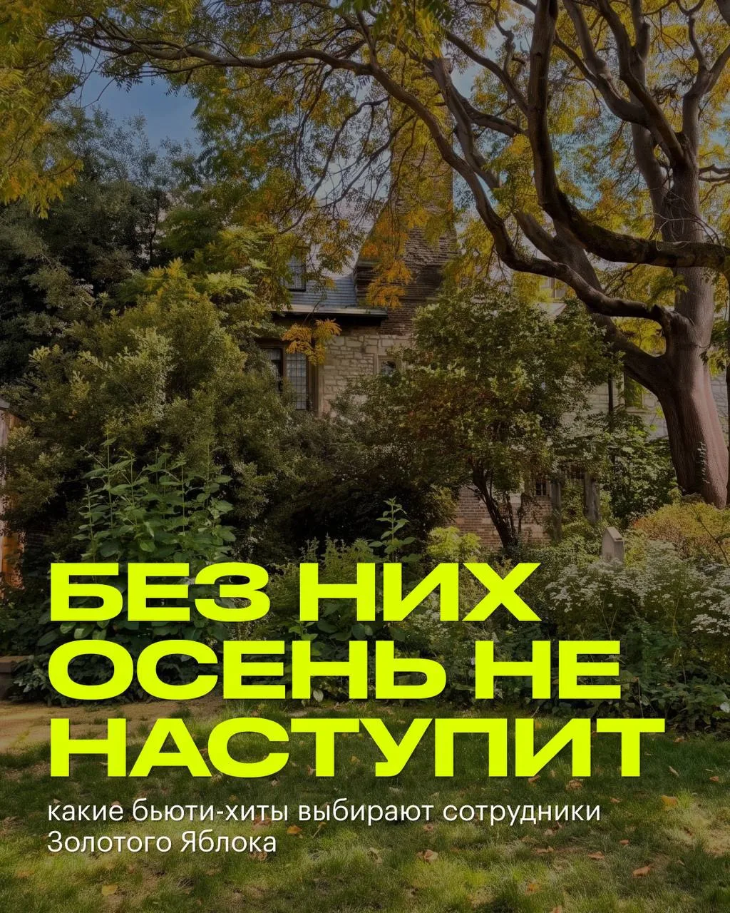 Если бы можно было продлить подписку на лето, мы бы все это сделали…