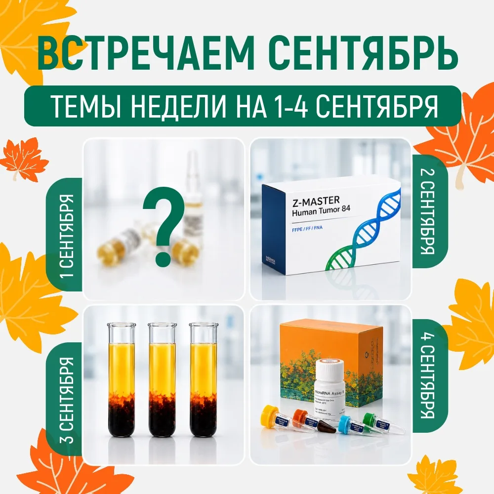 🍃 Сегодня последний день лета, а значит, пора заглянуть в сентябрь 🍂