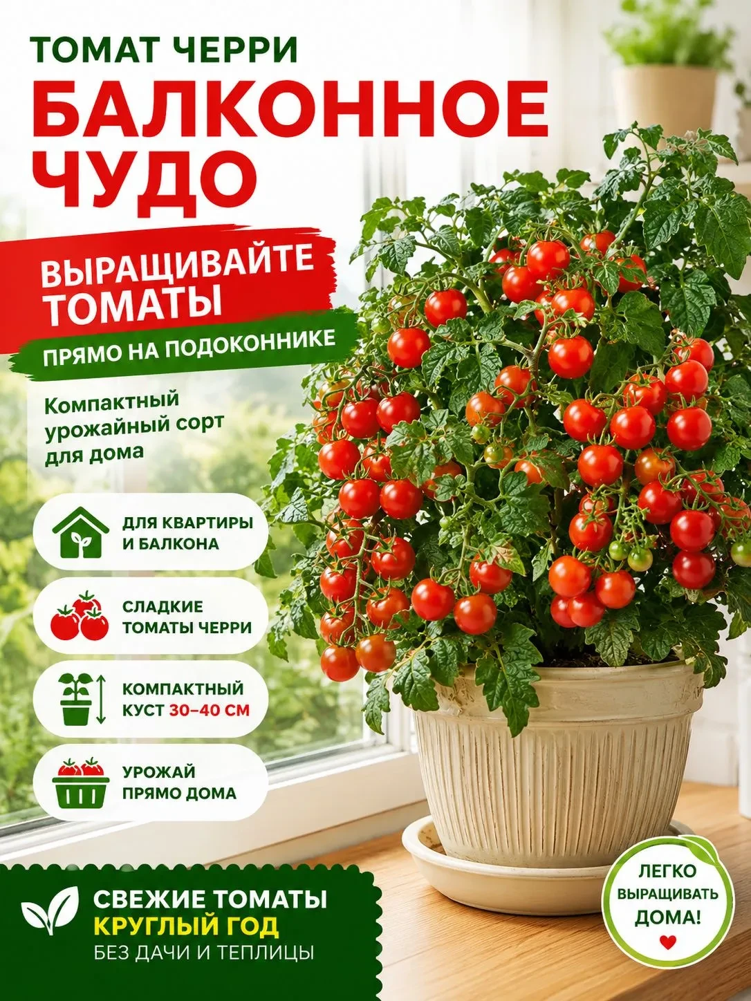 🍅 Лето на вашем подоконнике: свежие черри круглый год!