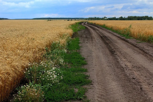 Авылымның тузанлы юлларын
Ятып үбәр булам кайчагын.
Шул юлларда калган балачагым.
Шул юллардан үткән