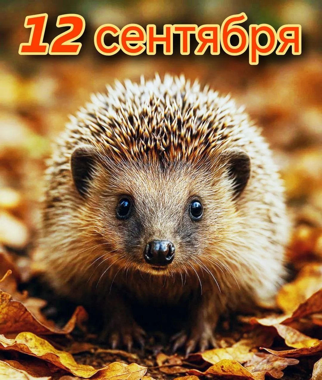 Праздники 12 сентября 🗓️