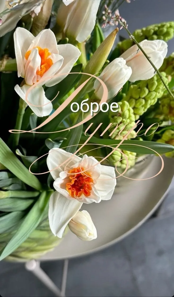 Поздравления для Настроения💌