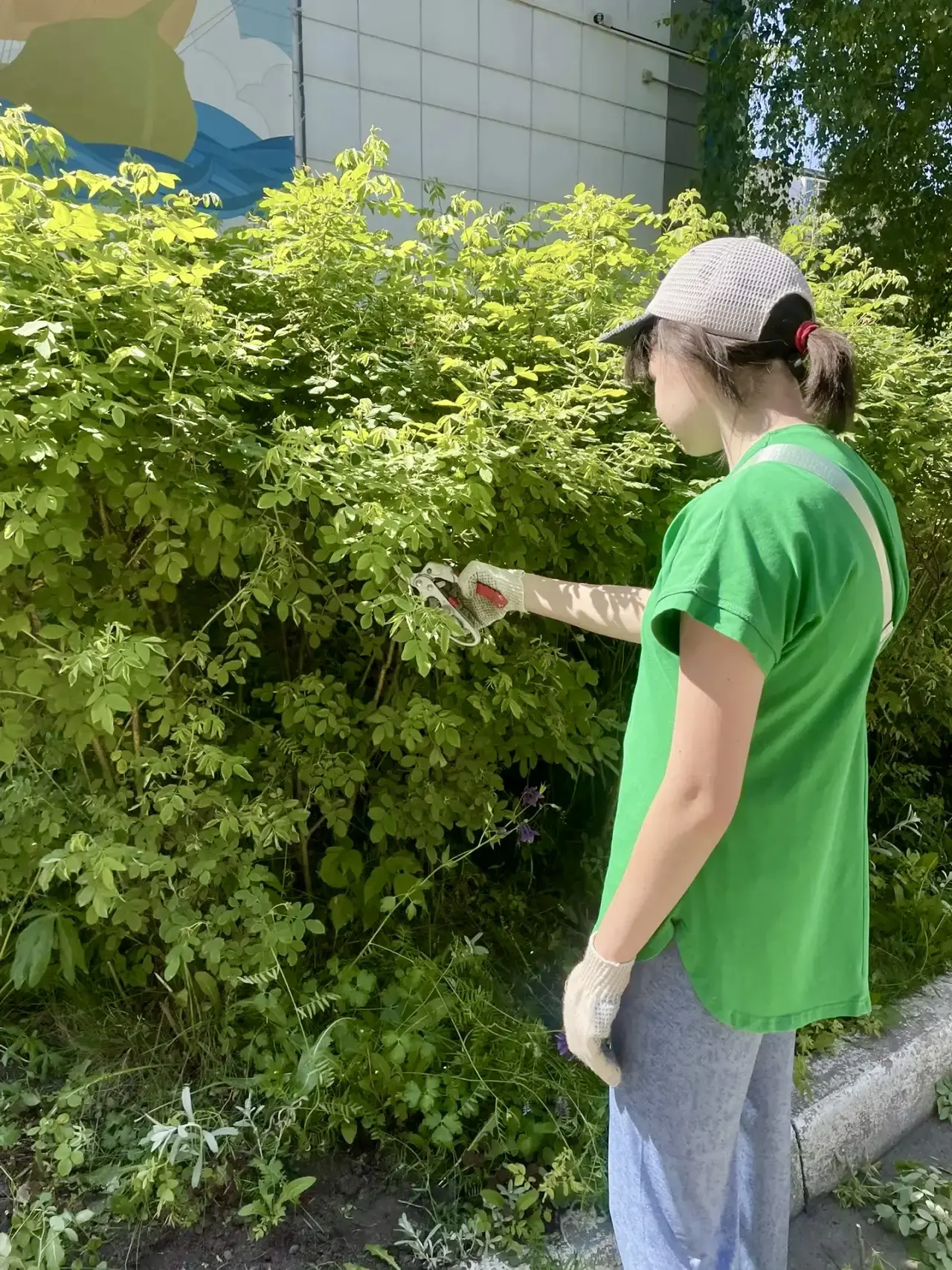 #СОБЫТИЯ_55

🌿 Одиннадцатый день в трудовом лагере «Алые паруса» выдался по-настоящему многогранным