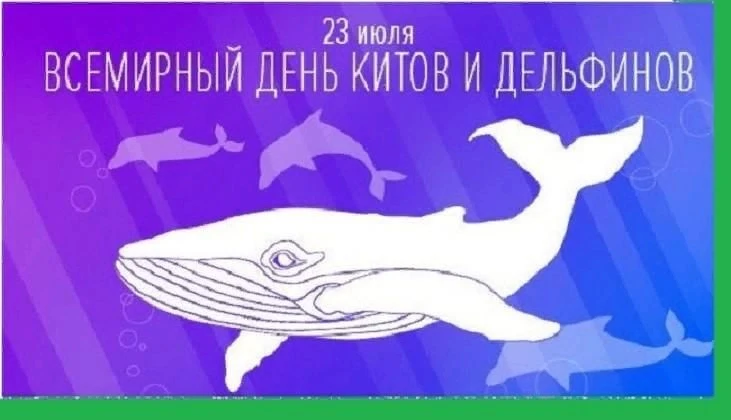 #Какойсегоднядень?

23 июля - Всемирный день китов и дельфинов.

Этот день нужен, чтобы напомнить вс