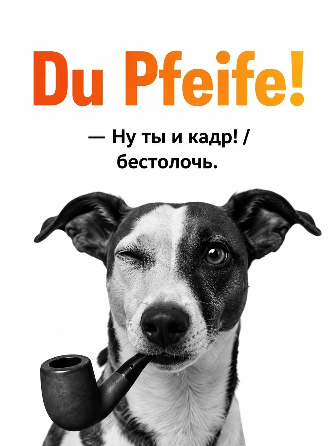 🤔  Почему немцы говорят «Du Honk!» вместо «Du bist ein Honk!»?

Кажется, грамматически верно будет 